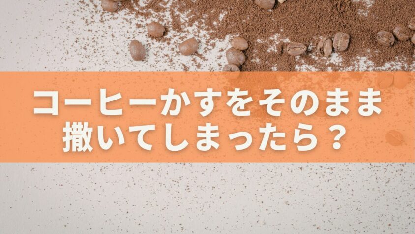 コーヒーかすをそのまま撒いてしまったら？放置NGの理由と正しい対処法を徹底解説