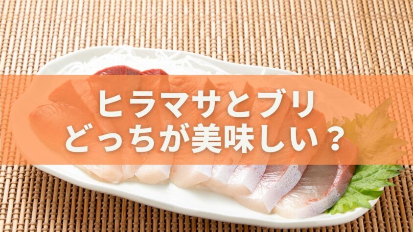 ヒラマサとブリどっちが美味しい？